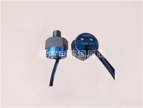 油研压力传感器JT-02-350-10